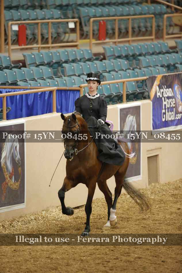 Proof 15YN_08455