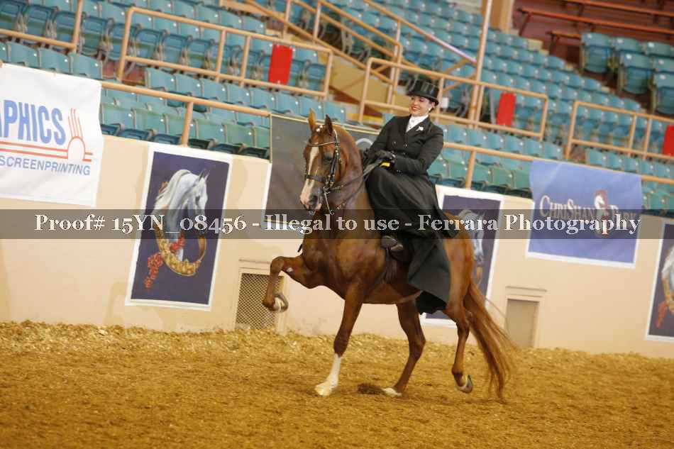 Proof 15YN_08456
