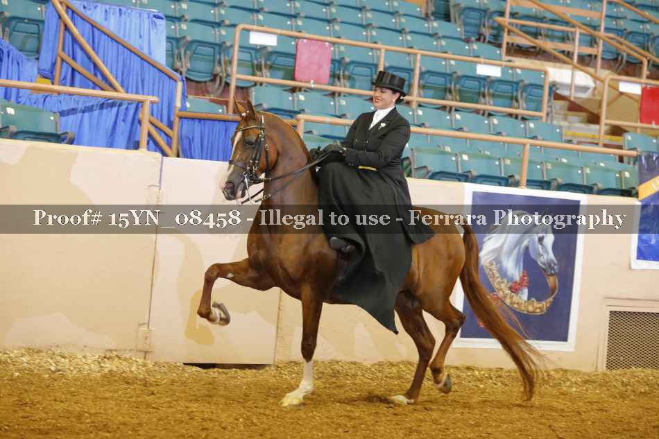 Proof 15YN_08458