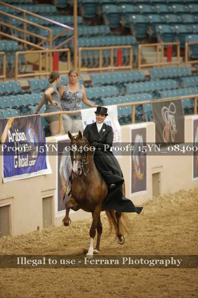 Proof 15YN_08460