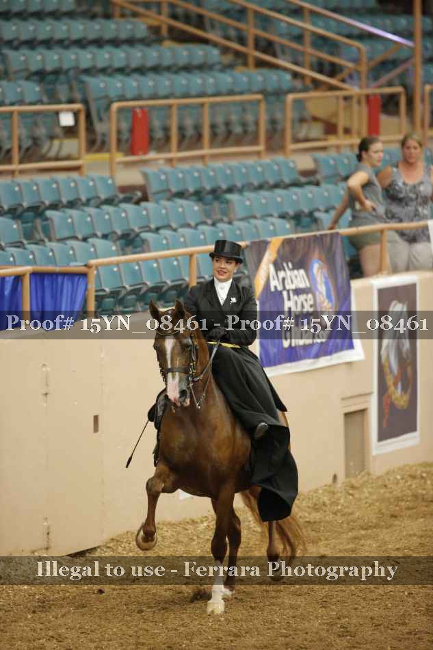 Proof 15YN_08461