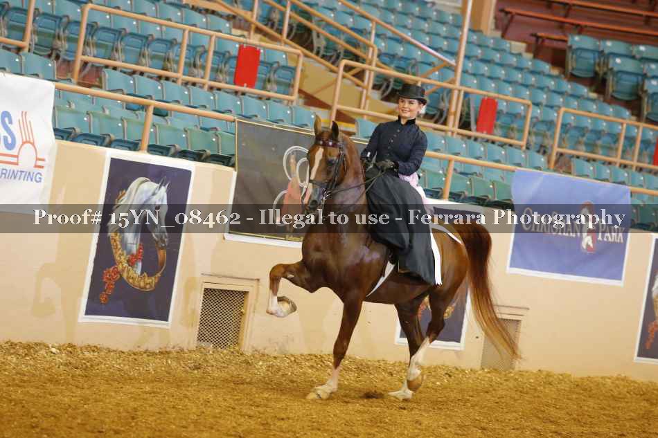 Proof 15YN_08462