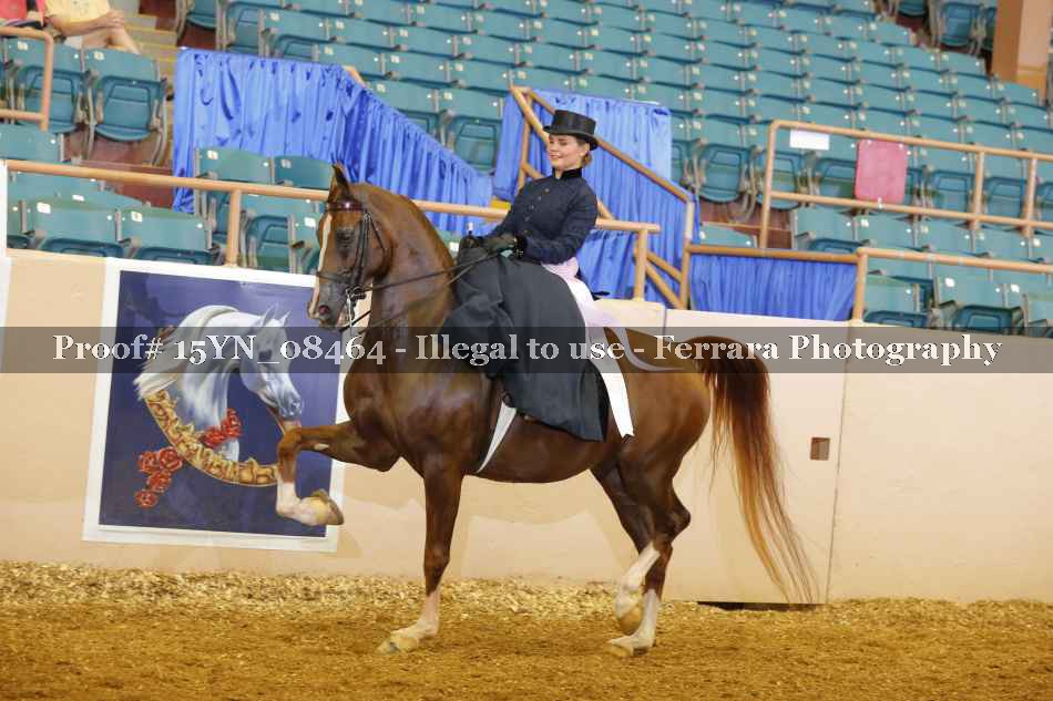 Proof 15YN_08464