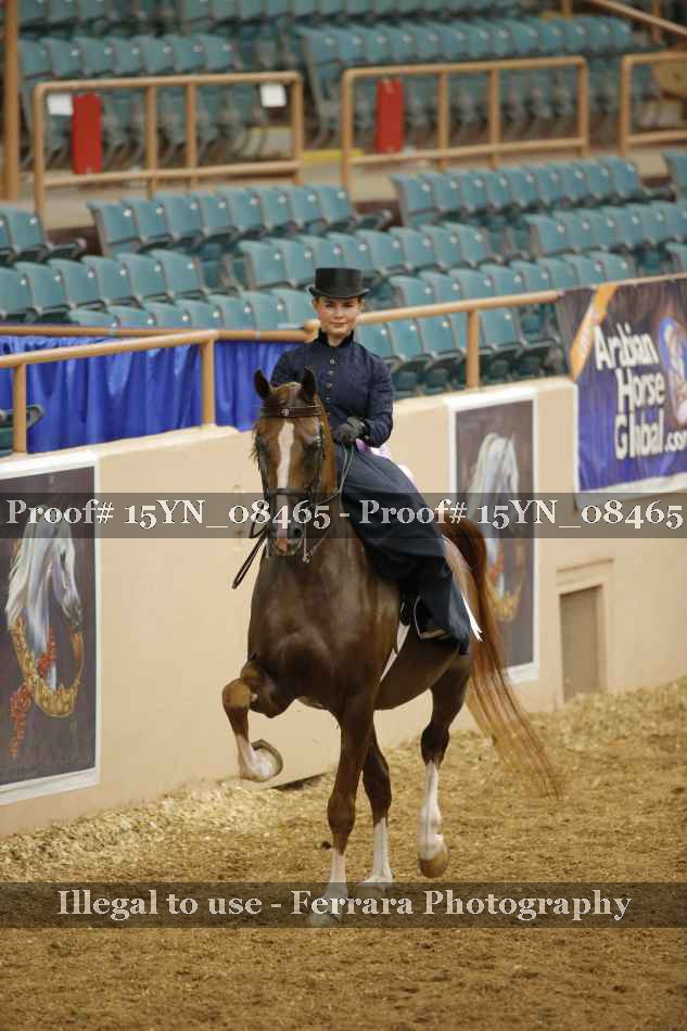Proof 15YN_08465