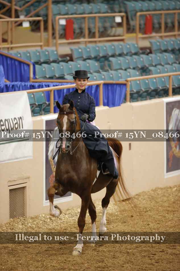 Proof 15YN_08466