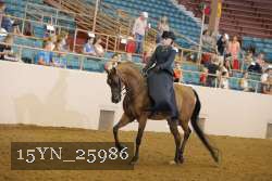 15YN_25986 proof
