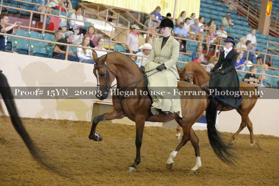 Proof 15YN_26003