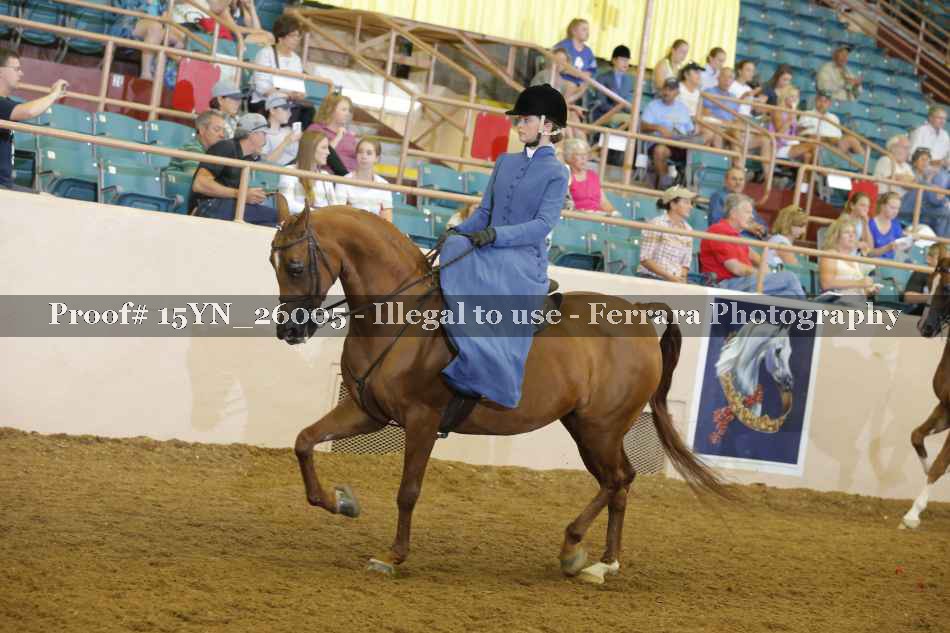Proof 15YN_26005