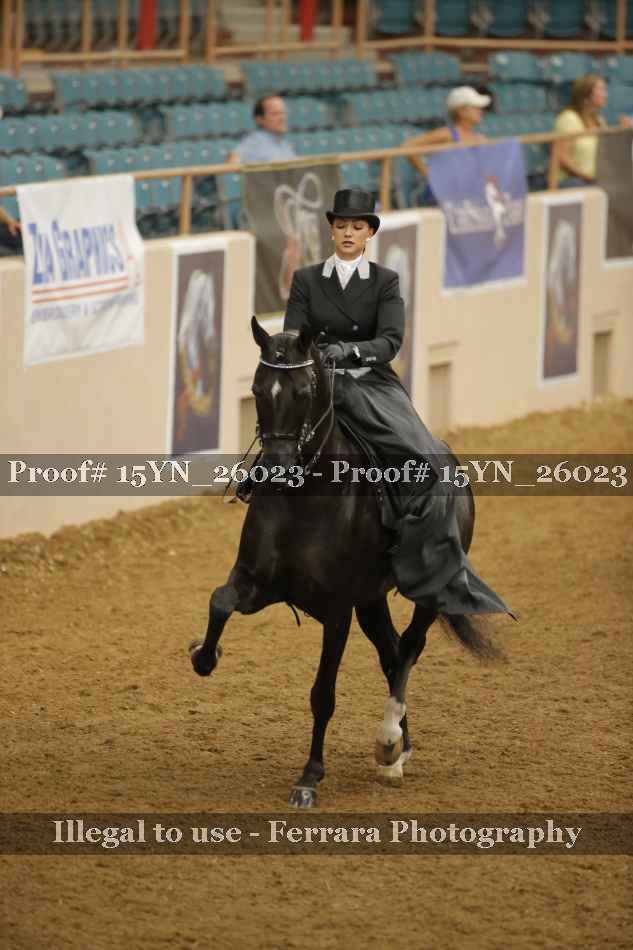 Proof 15YN_26023
