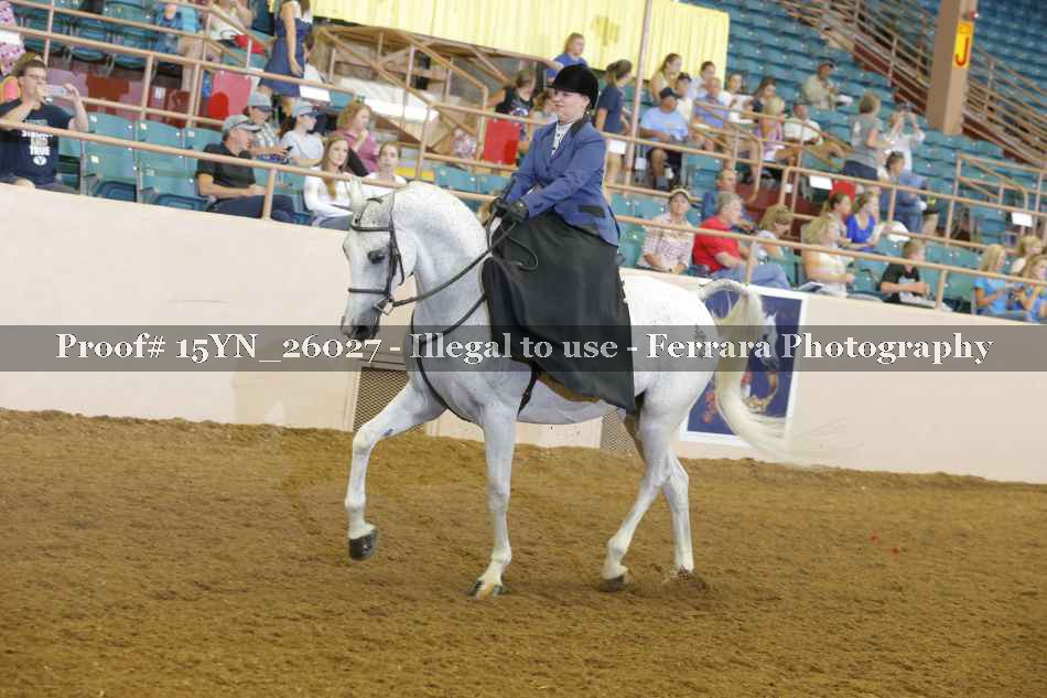 Proof 15YN_26027