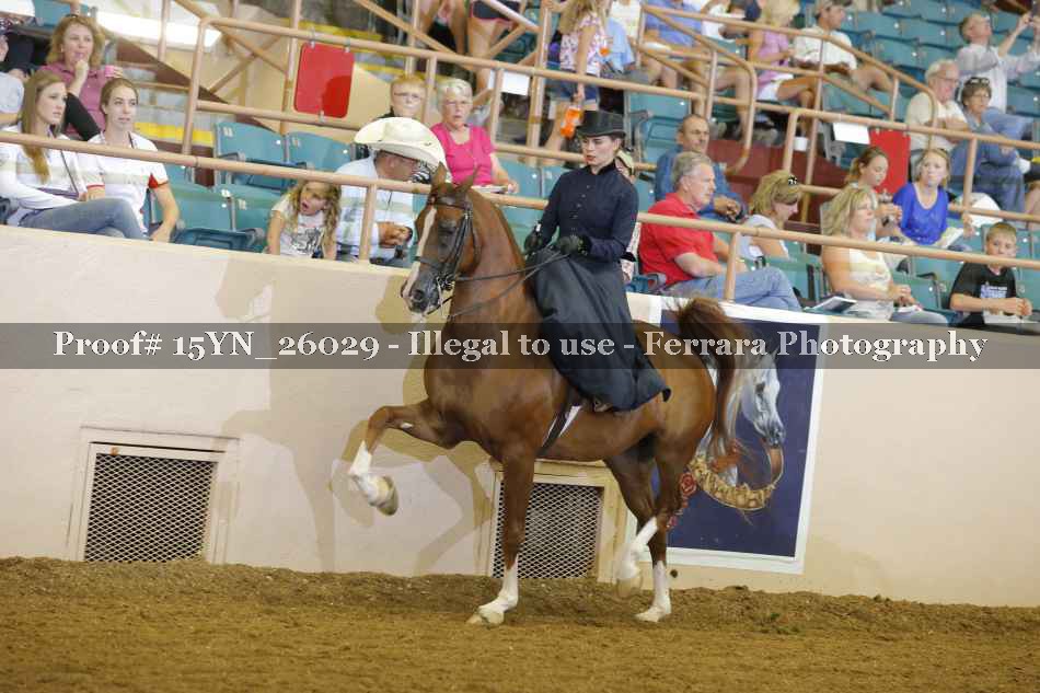 Proof 15YN_26029