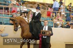 15YN_26035 proof