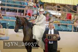 15YN_26037 proof