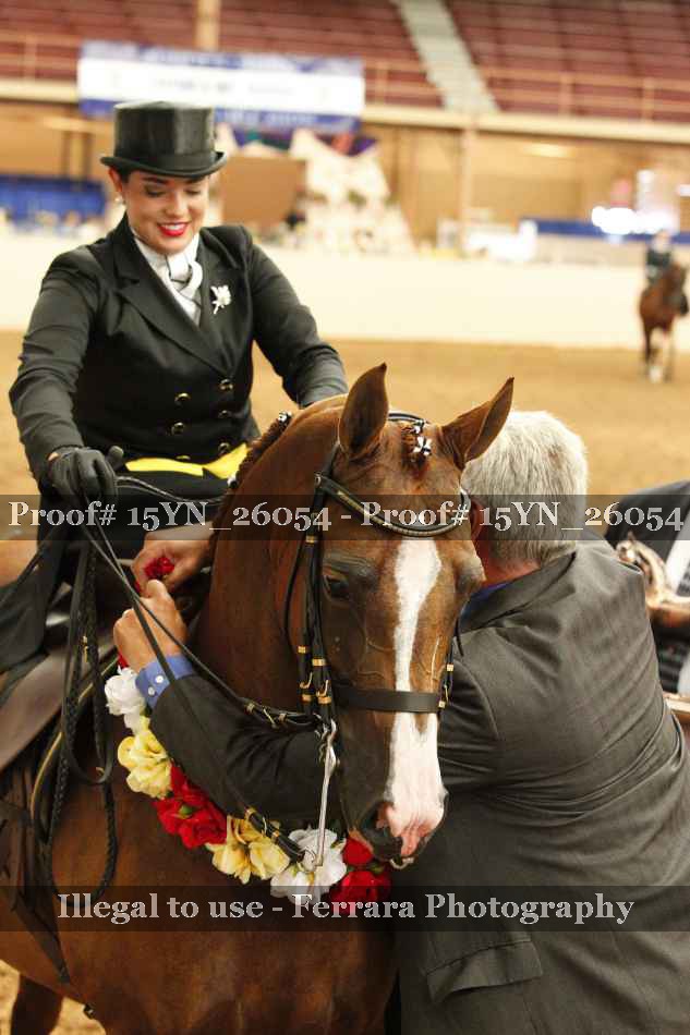 Proof 15YN_26054