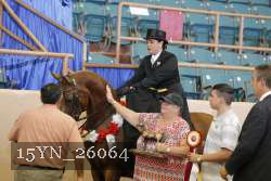 15YN_26064 proof