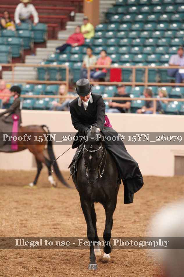 Proof 15YN_26079