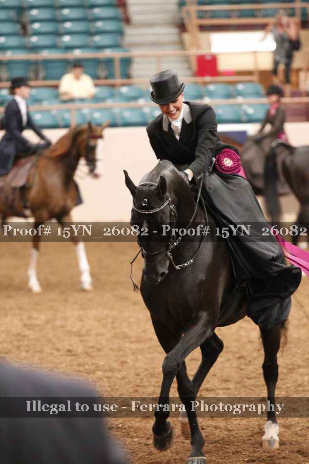 Proof 15YN_26082