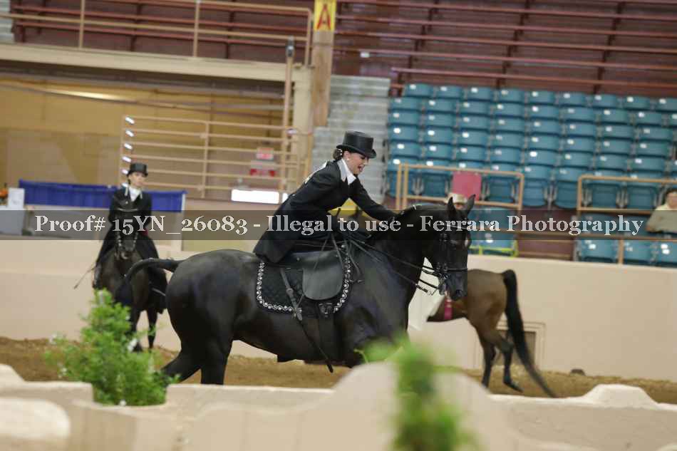 Proof 15YN_26083