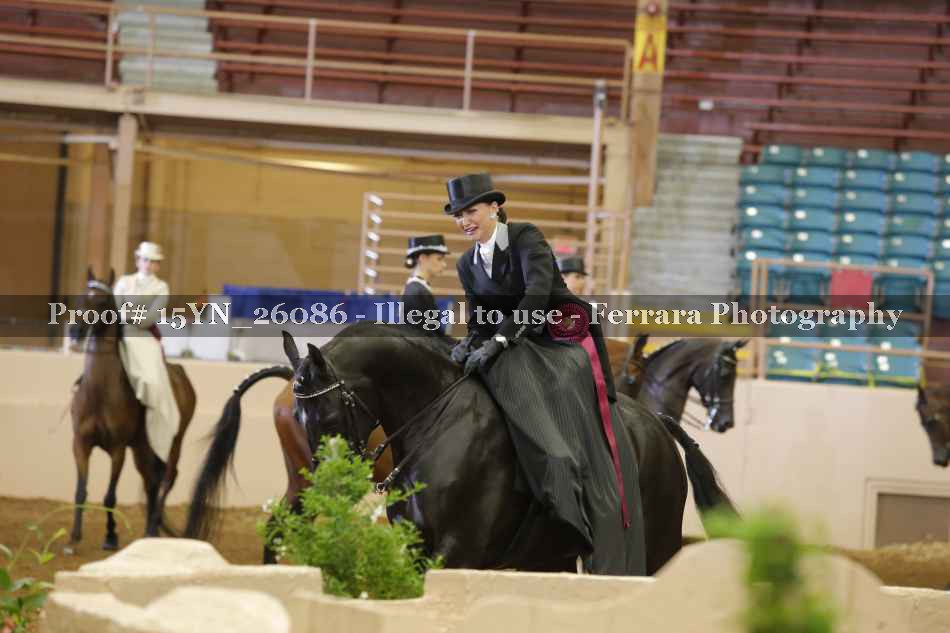 Proof 15YN_26086
