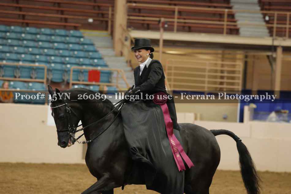 Proof 15YN_26089