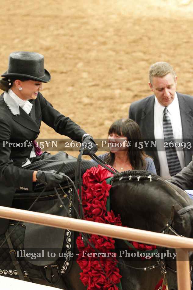Proof 15YN_26093