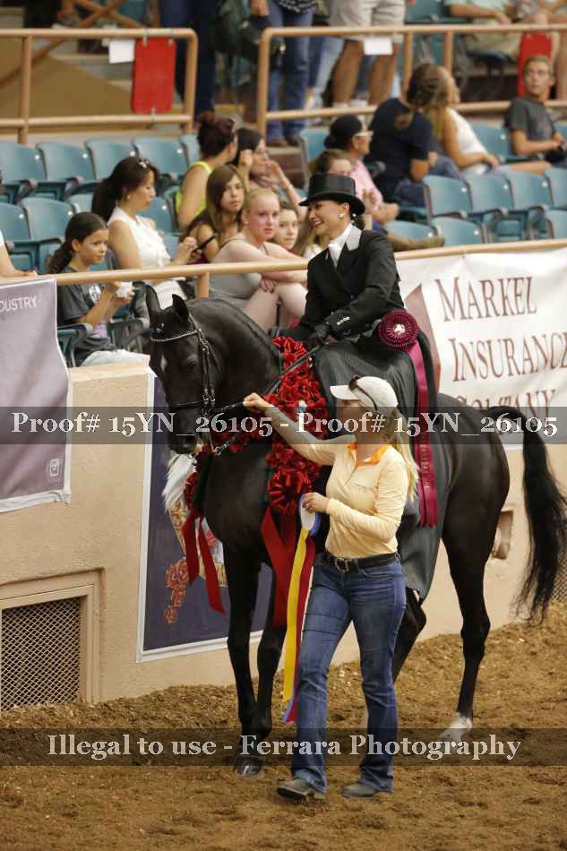 Proof 15YN_26105