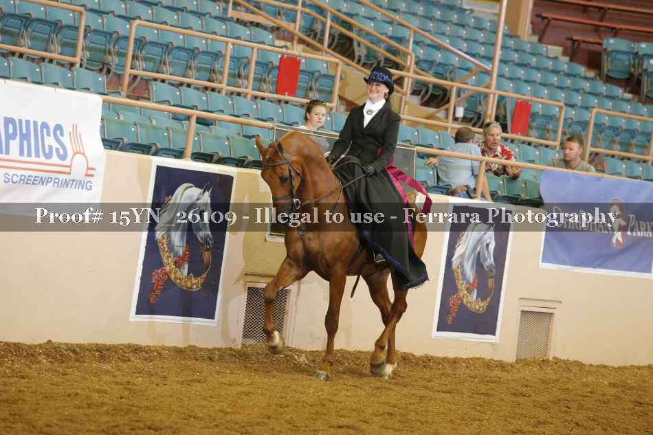 Proof 15YN_26109