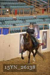15YN_26138 proof