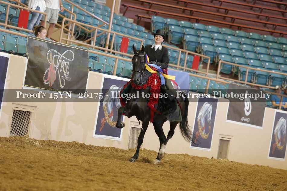Proof 15YN_26175