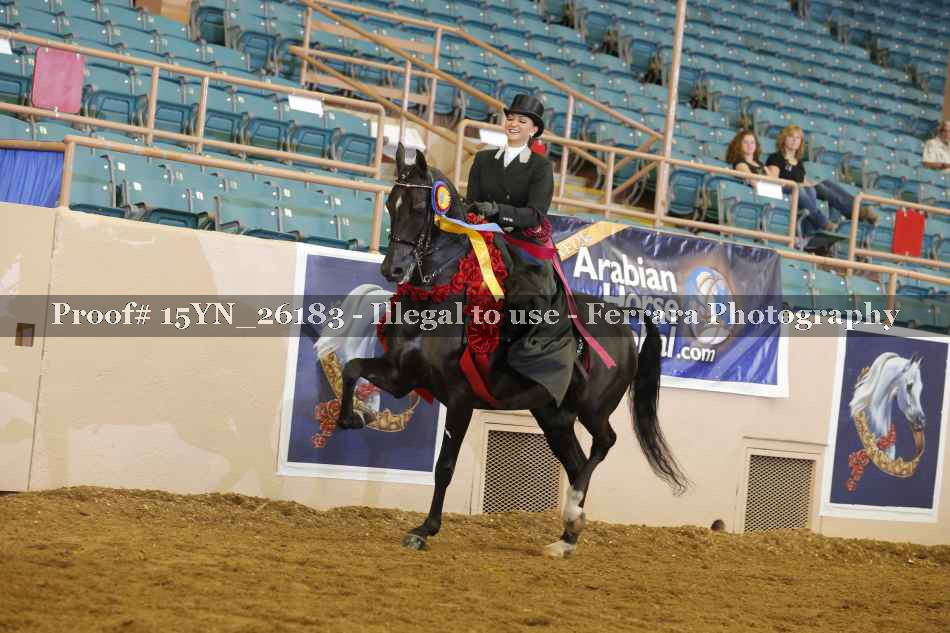 Proof 15YN_26183