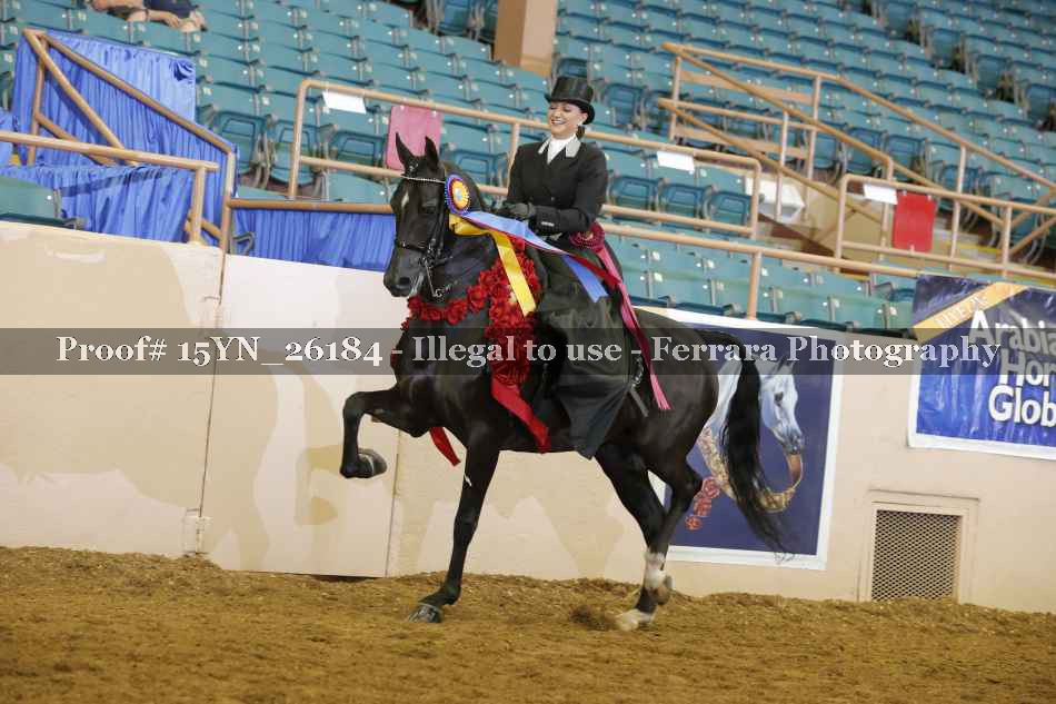 Proof 15YN_26184