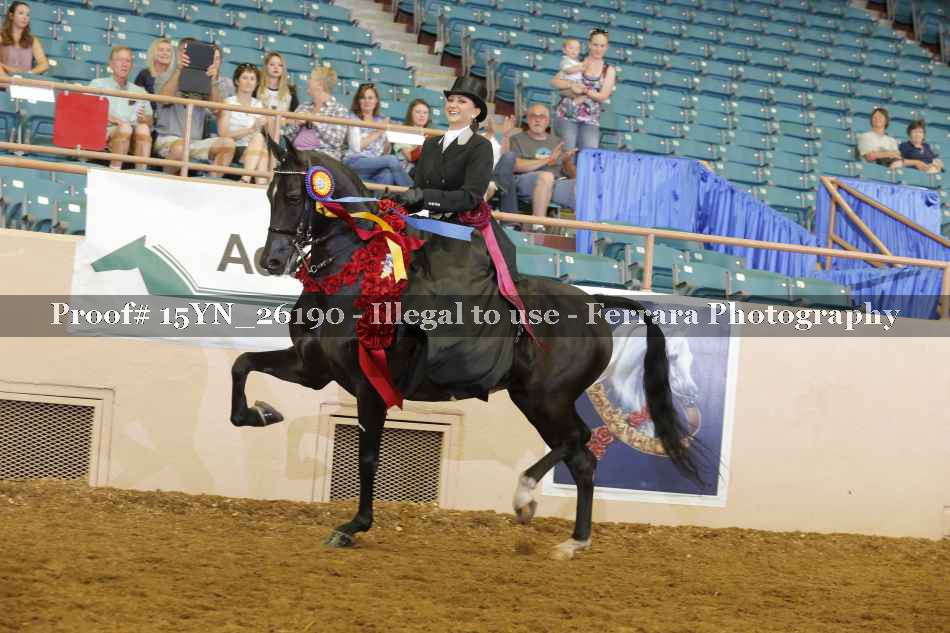 Proof 15YN_26190