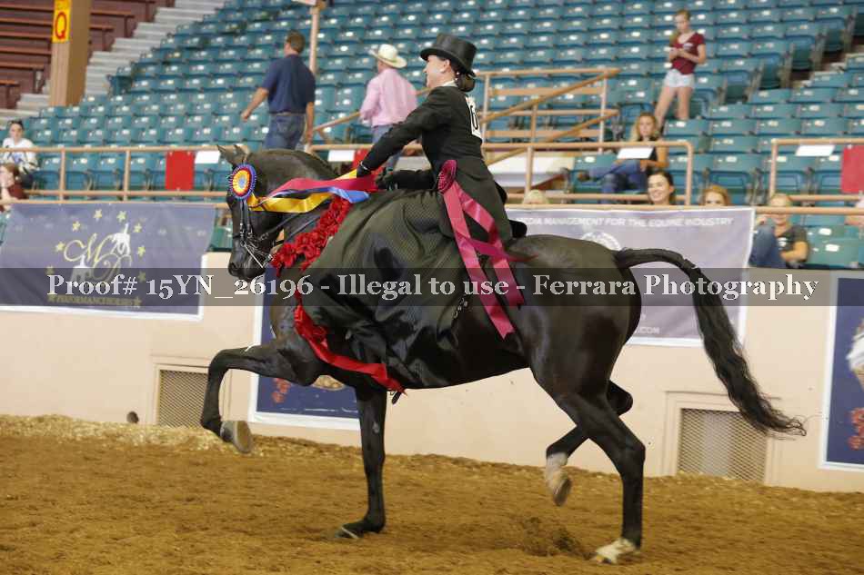 Proof 15YN_26196
