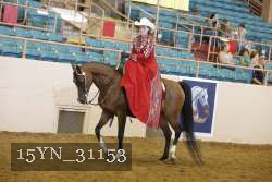15YN_31153 proof