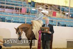 15YN_31171 proof