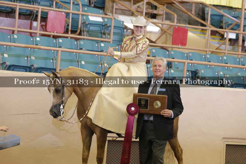 Proof 15YN_31183