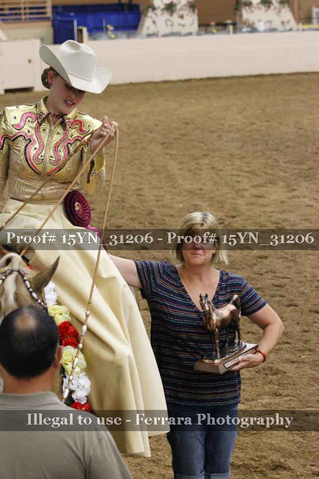 Proof 15YN_31206