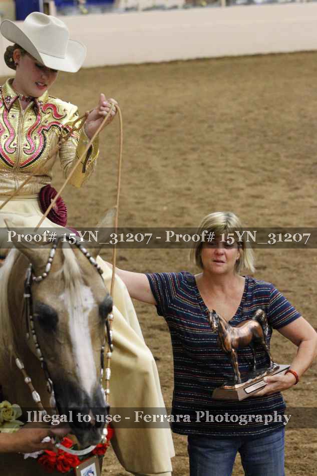 Proof 15YN_31207