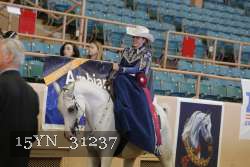15YN_31237 proof
