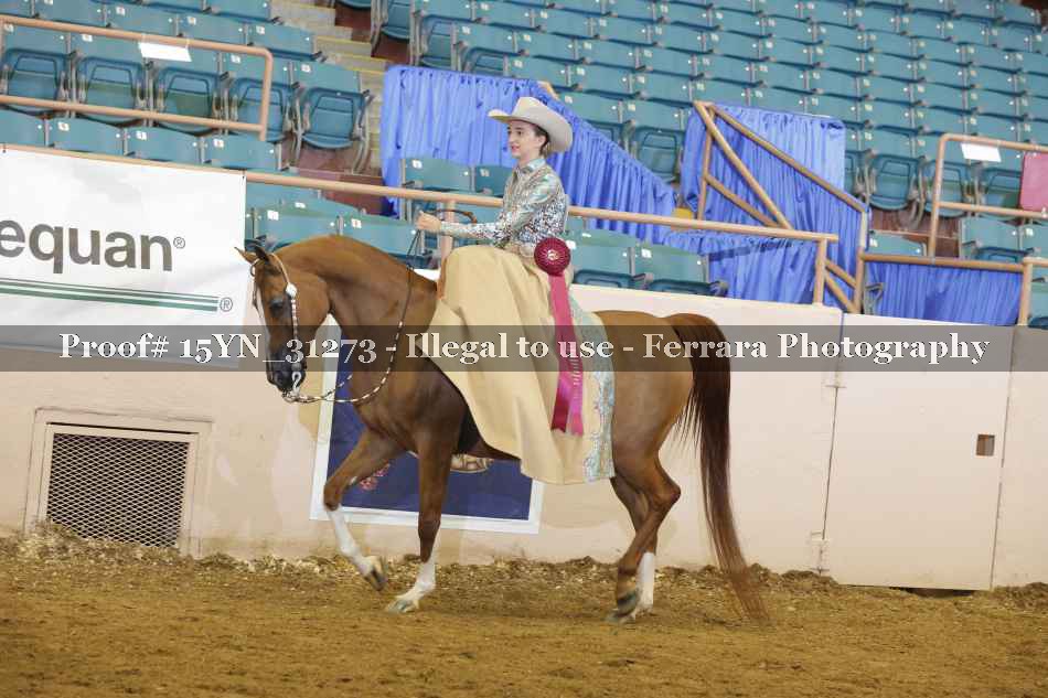 Proof 15YN_31273