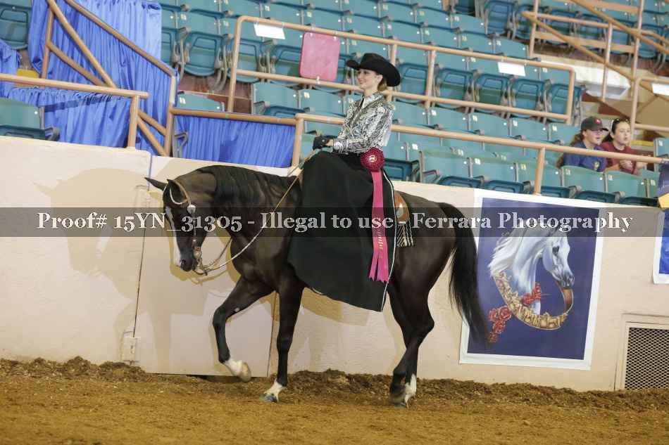 Proof 15YN_31305