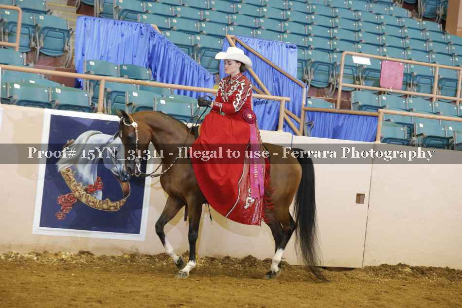 Proof 15YN_31311