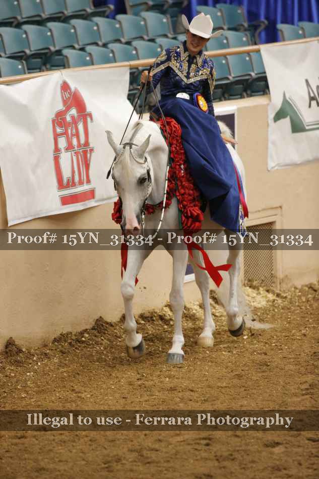 Proof 15YN_31334