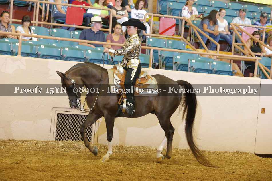 Proof 15YN_08901