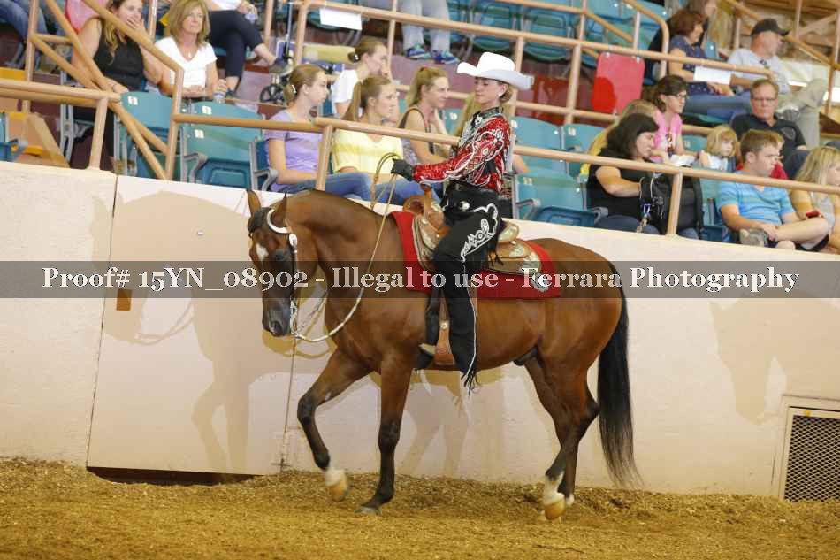 Proof 15YN_08902