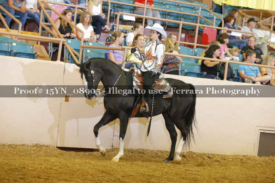 Proof 15YN_08905