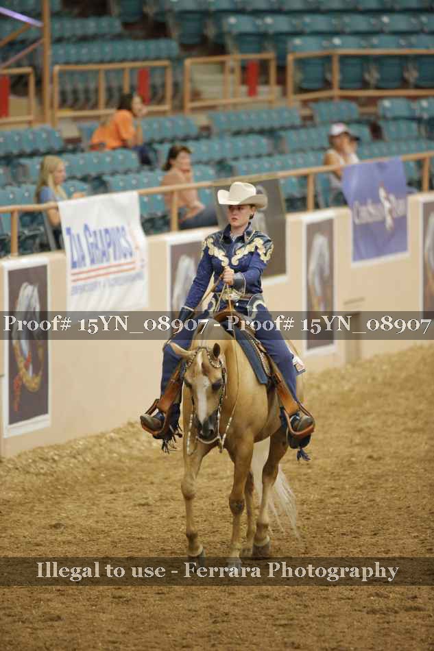 Proof 15YN_08907