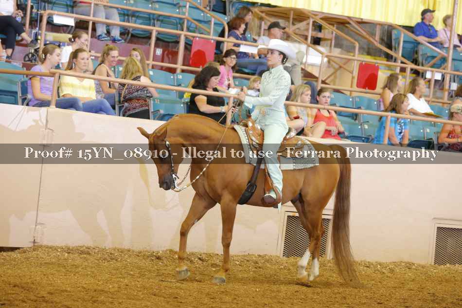 Proof 15YN_08910