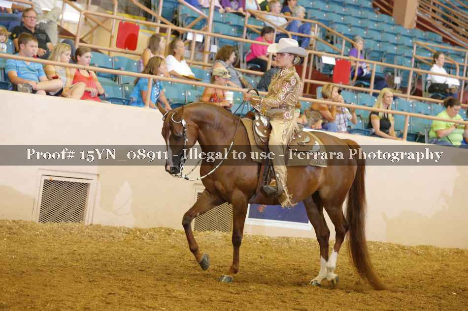 Proof 15YN_08911