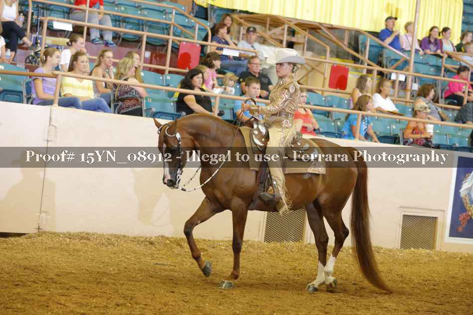 Proof 15YN_08912